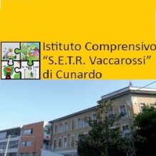 CLIL (Content Language Integrated Learning) Video Conference with  Cunardo School  in Italy